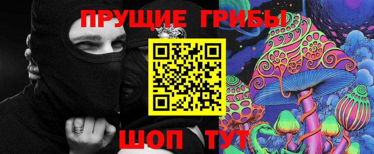 Галлюциногенные грибы Psilocybe Тында